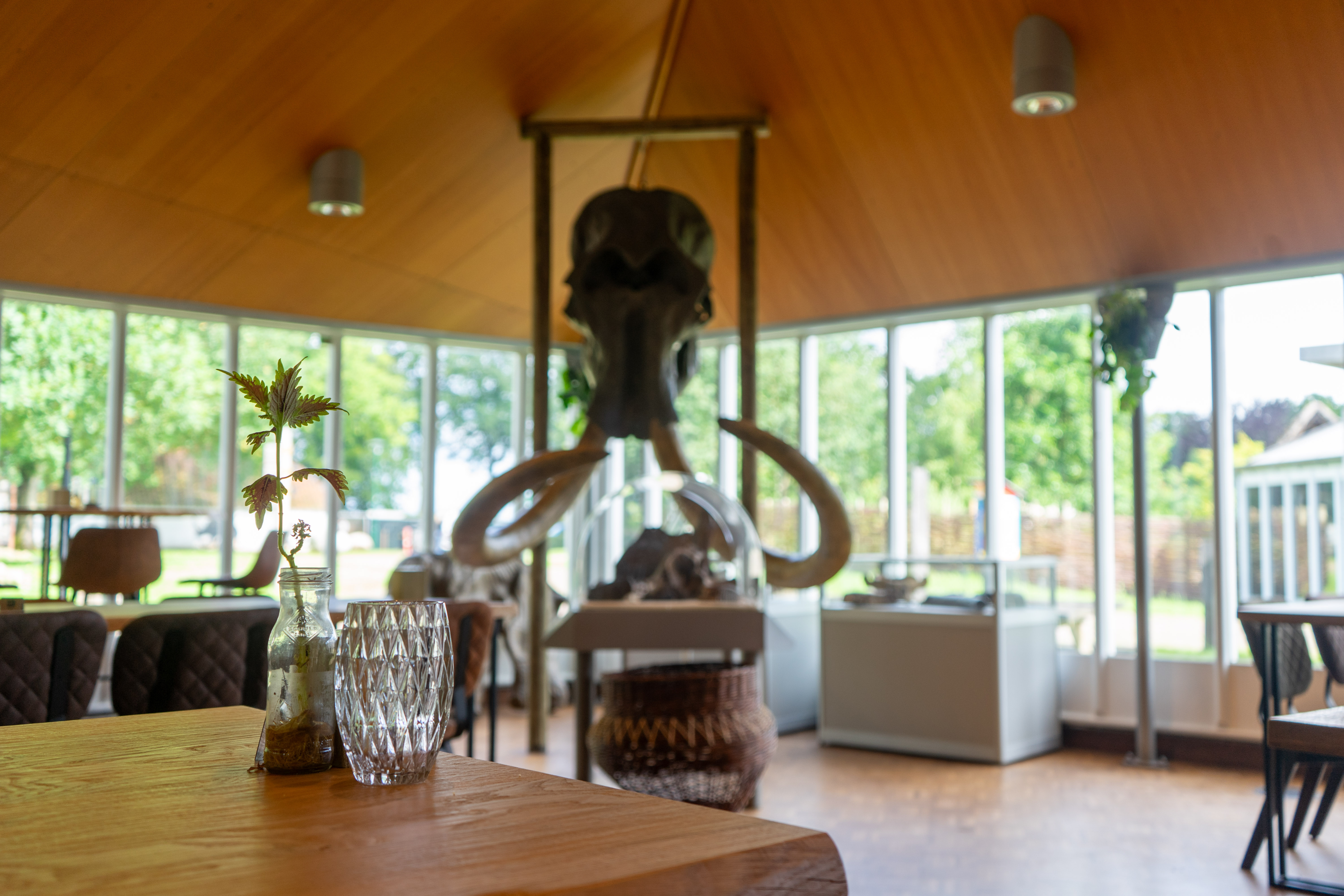 Museumcafé De Trechterbeker mammoet