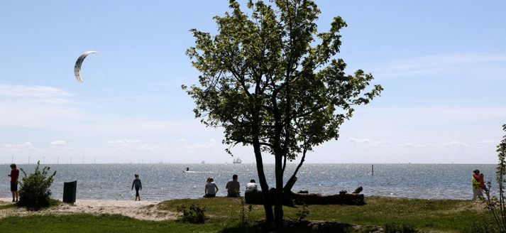 Fraai natuurstrand met paviljoen en picknickplek