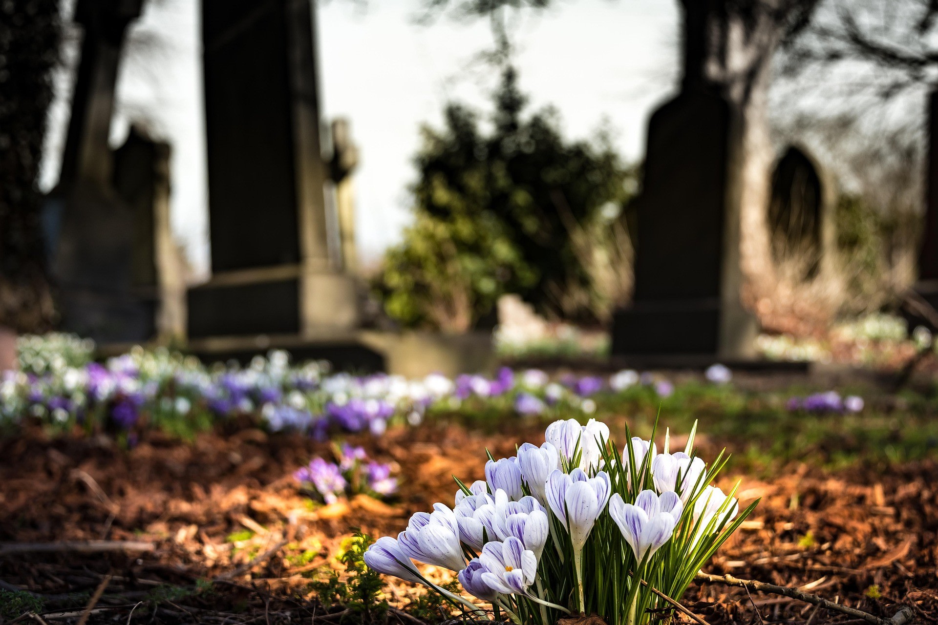 Kerkhof Hollandscheveld Van Gogh