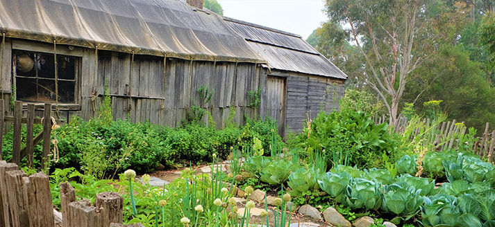 Voedselbos en Restaurant de Nieuwe Winkel