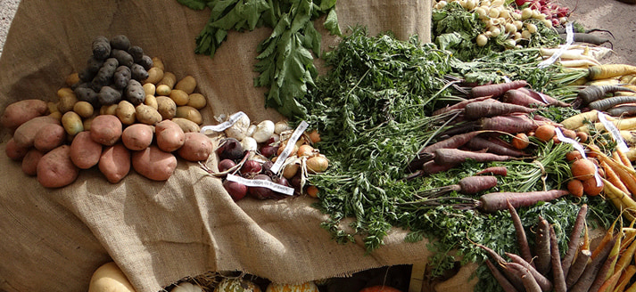 Biologische Boerenmarkt Amstelveen