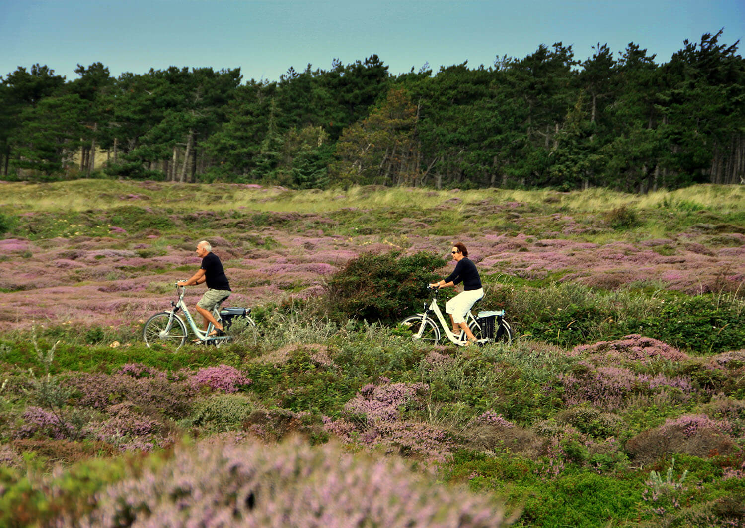 Fietsroute door bos en hei