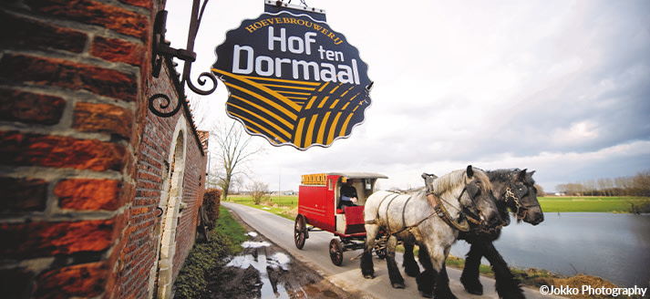 Brouwerij Hof ten Dormaal - ©Jokko Photography