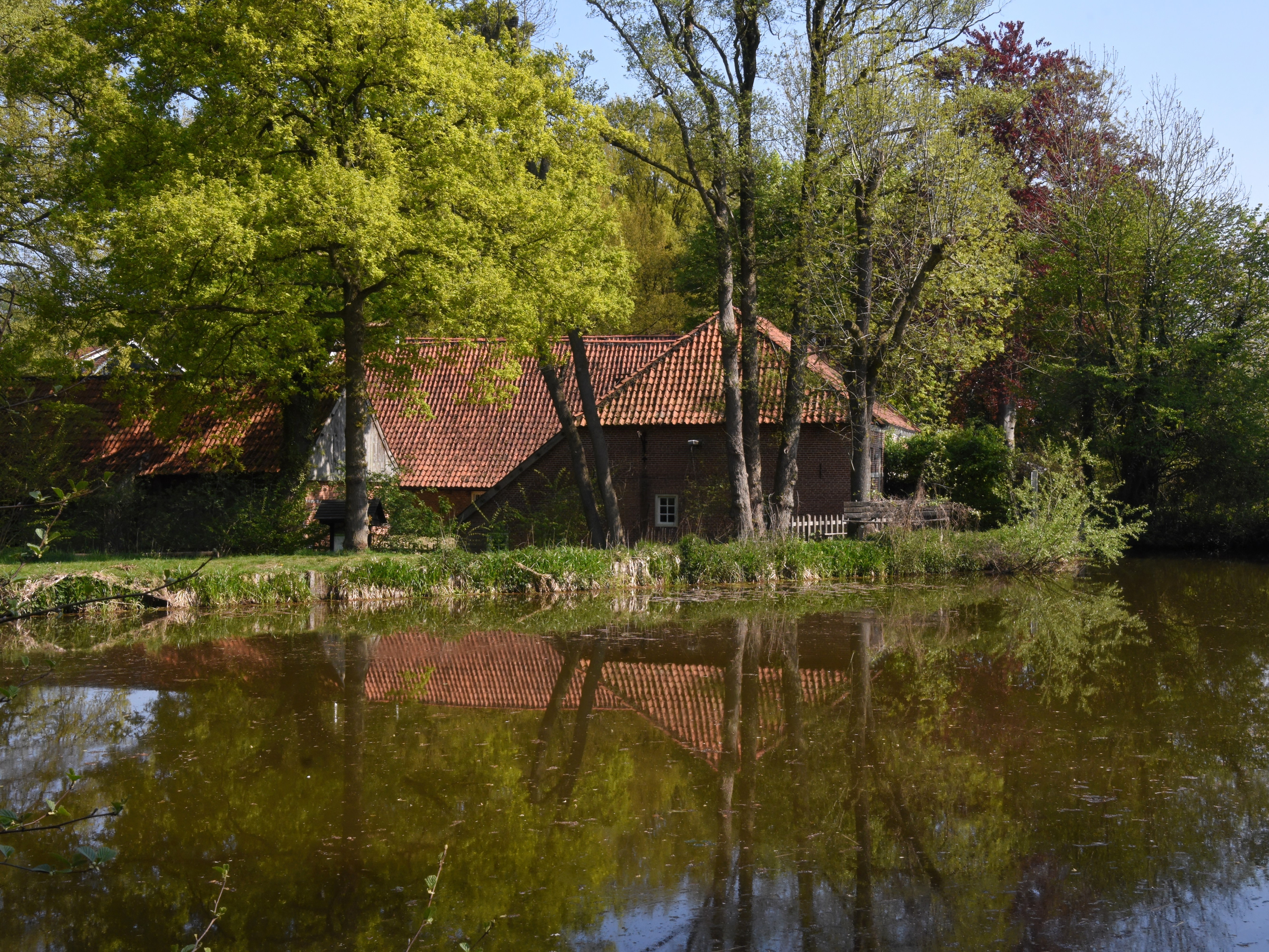 Watermolen Frans - Margot Schulte
