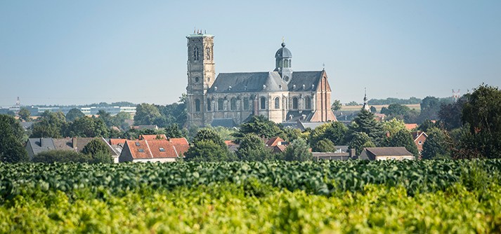 Sint-Servaasbasiliek - Lander Loeckx