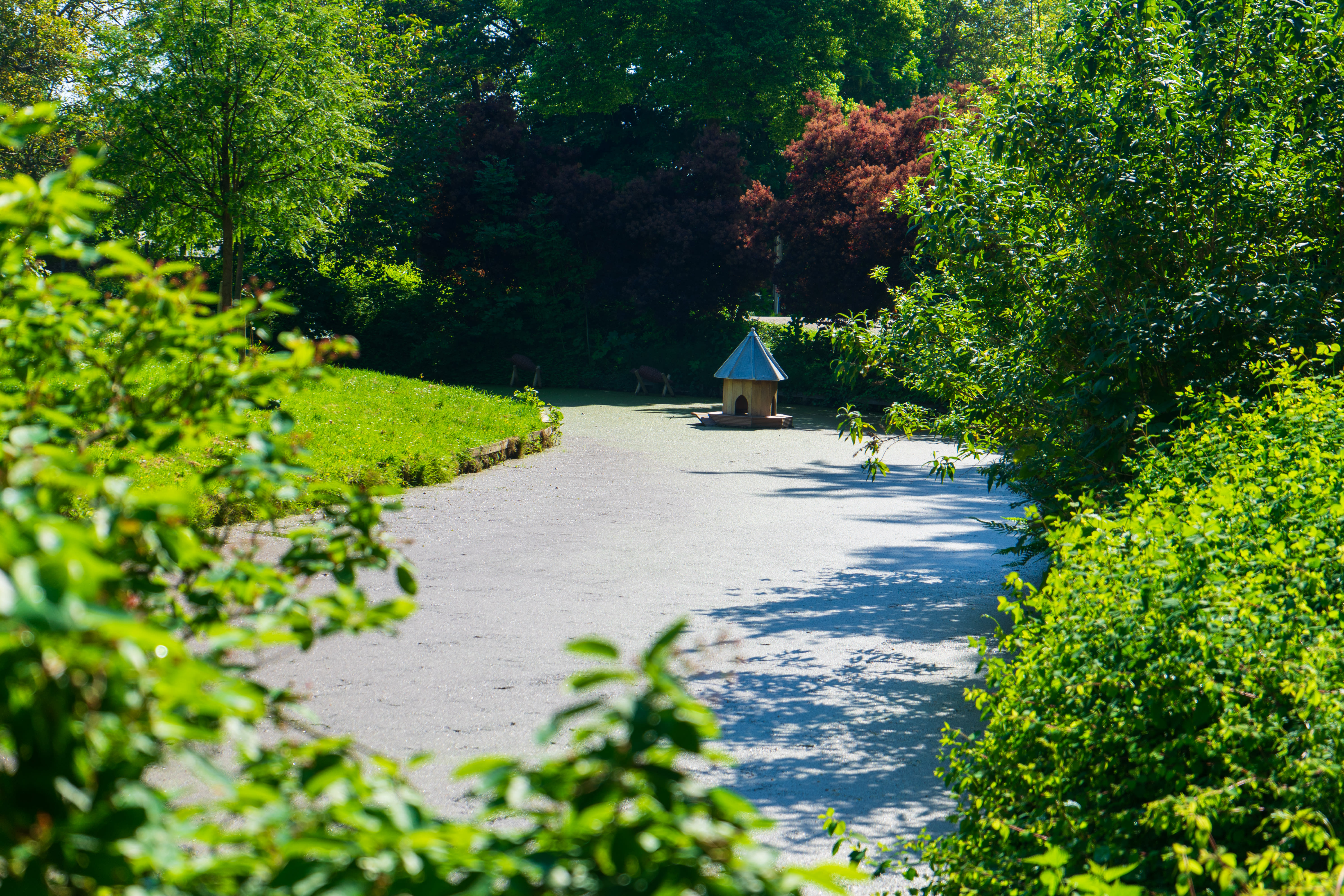 Vijver in het Jeroen Severs Plantsoen