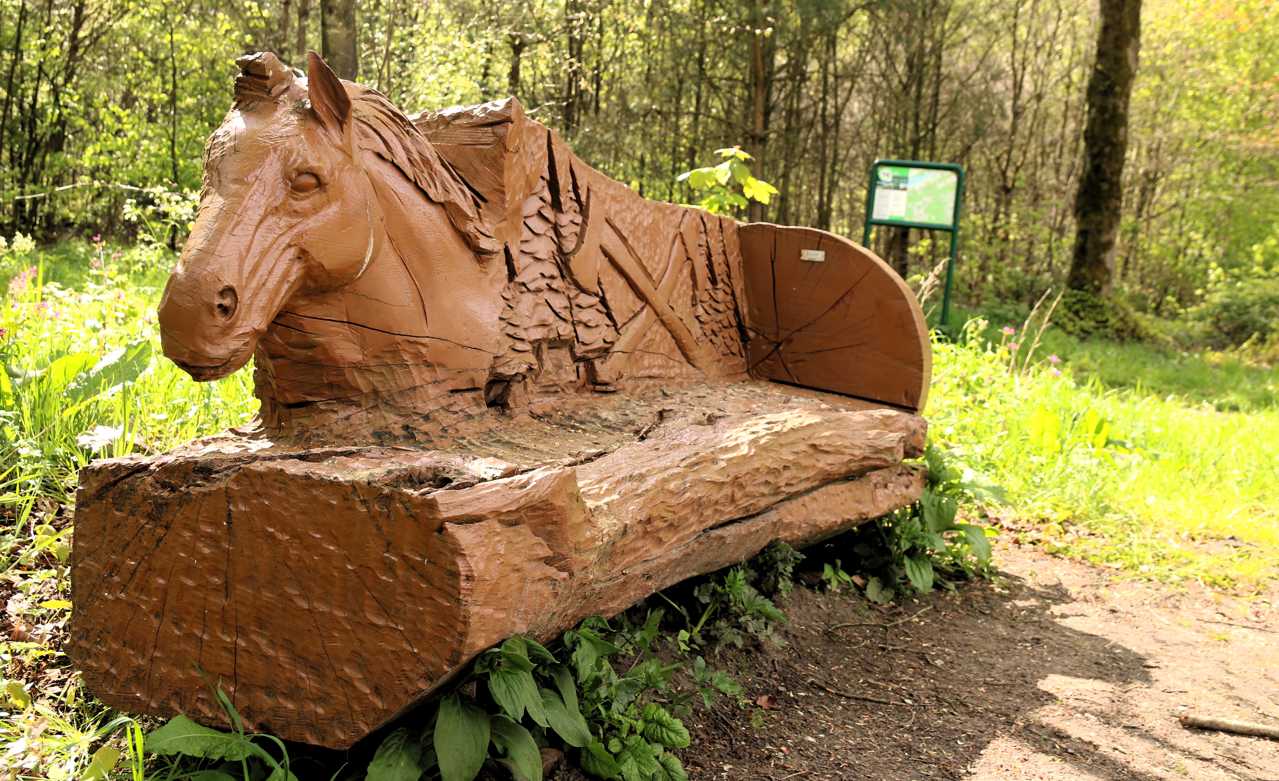 Houtzaagwerk | Bosbouw Nunspeterweg