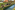 Pure Delight | The Taste of Friesland