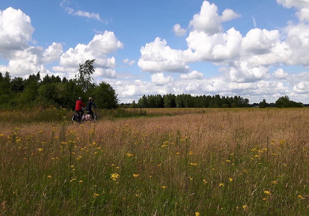 Het Nationale Park van Drenthe