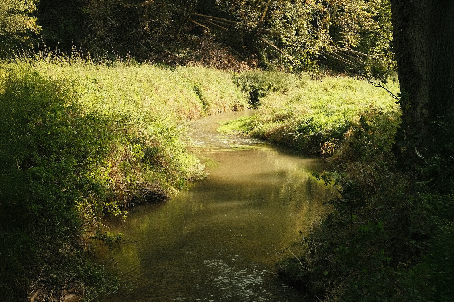 Bron van de Rode Beek