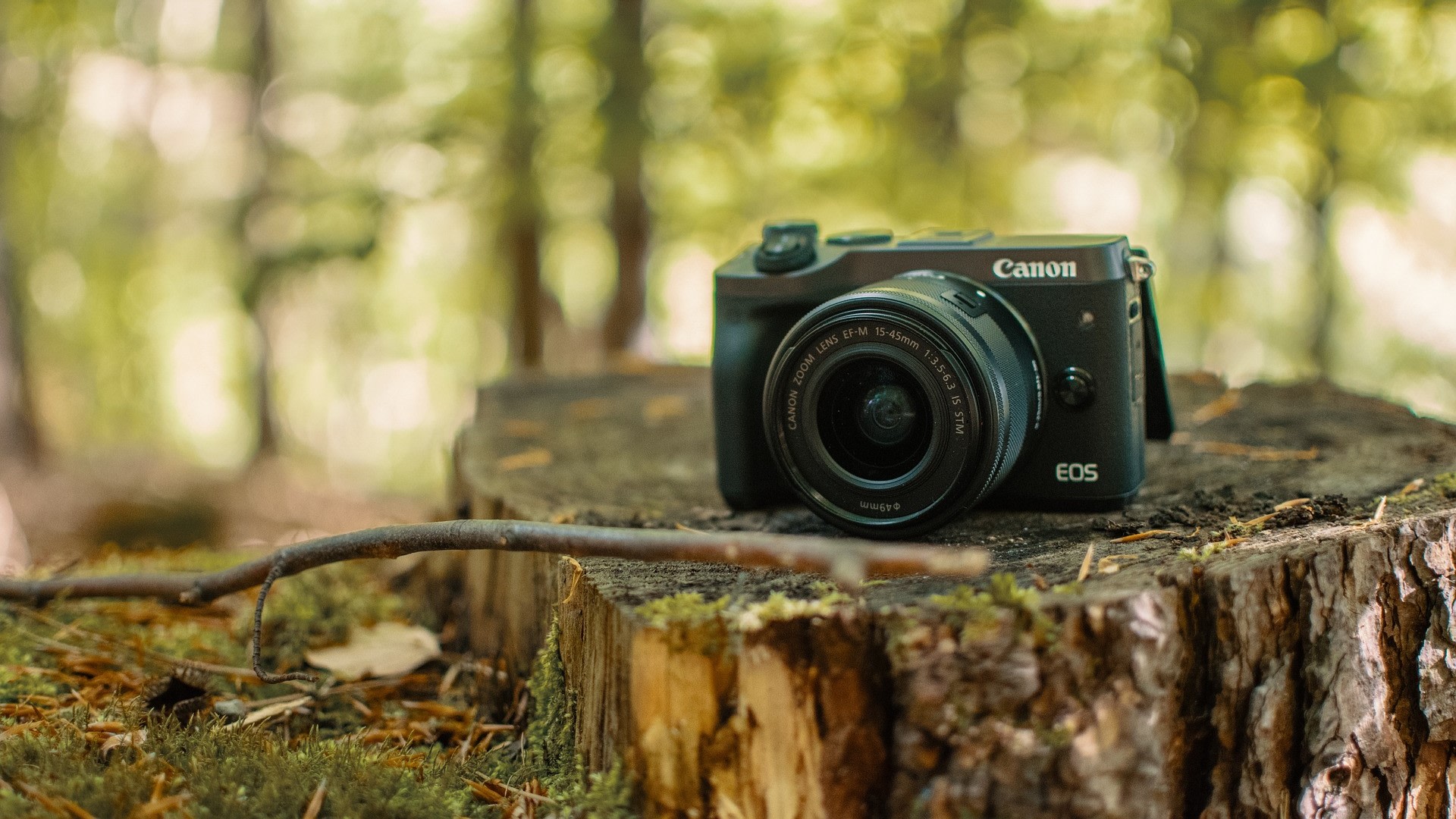 Uitkijktoren Leekstermeer