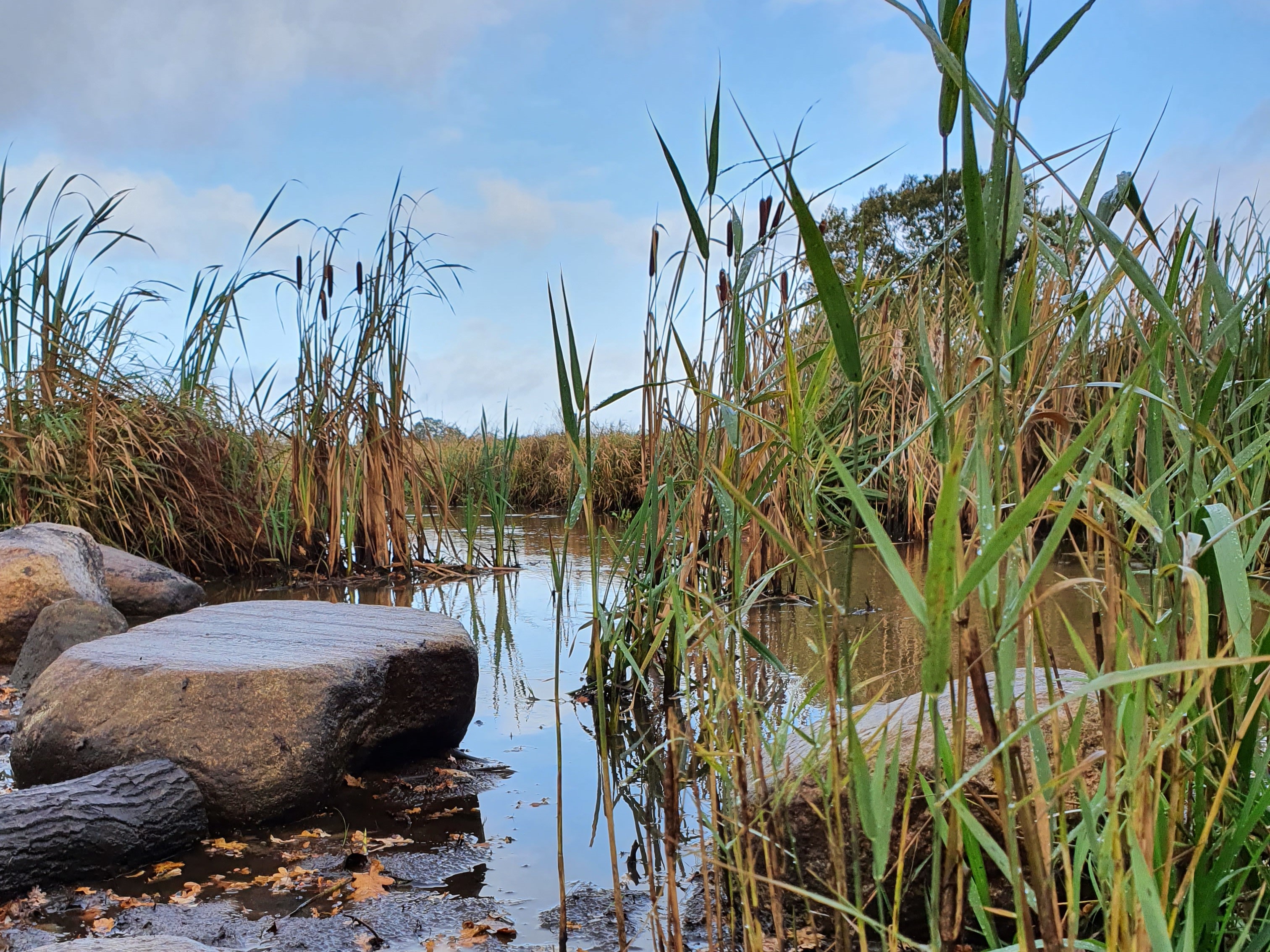 Mooi natuurgebied Gasterij Natuurlijk Smeerling