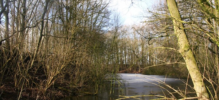 Werk aan de Engelaar