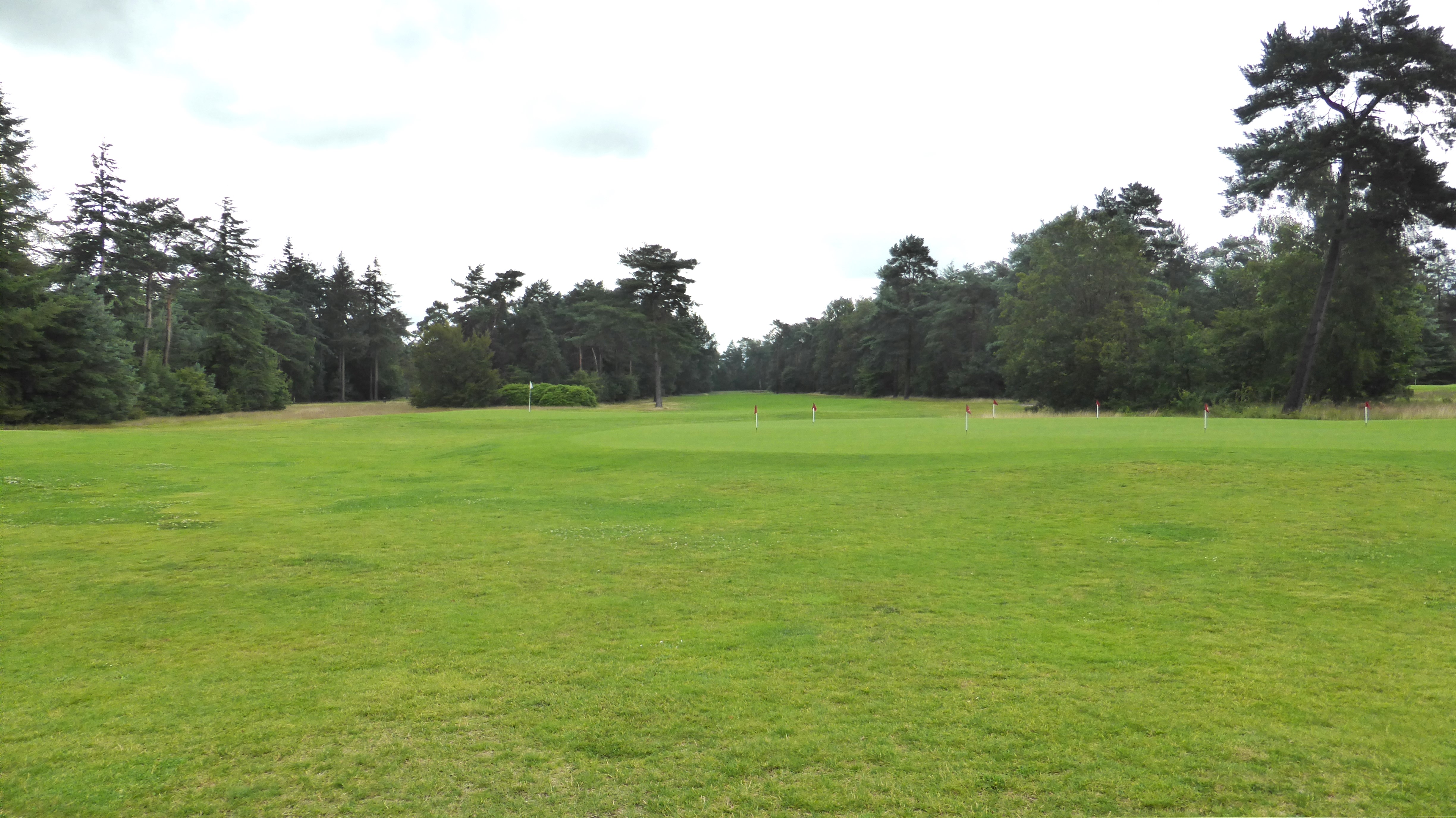 Hooge Graven Golfclub Ommen uitzicht