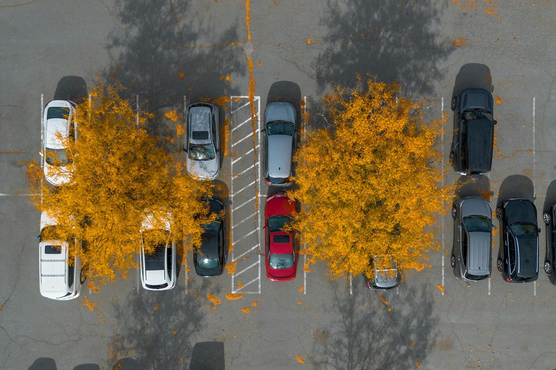 Startpunt | Parkeerplaats Hemmeland