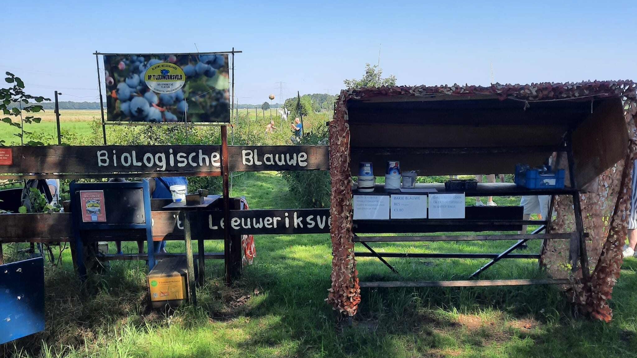 Het leuke stalletje van Blauwe bessengaard op 't Leeuweriksveld