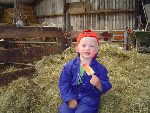 Recreatiebedrijf de Blikvaart Boerderij