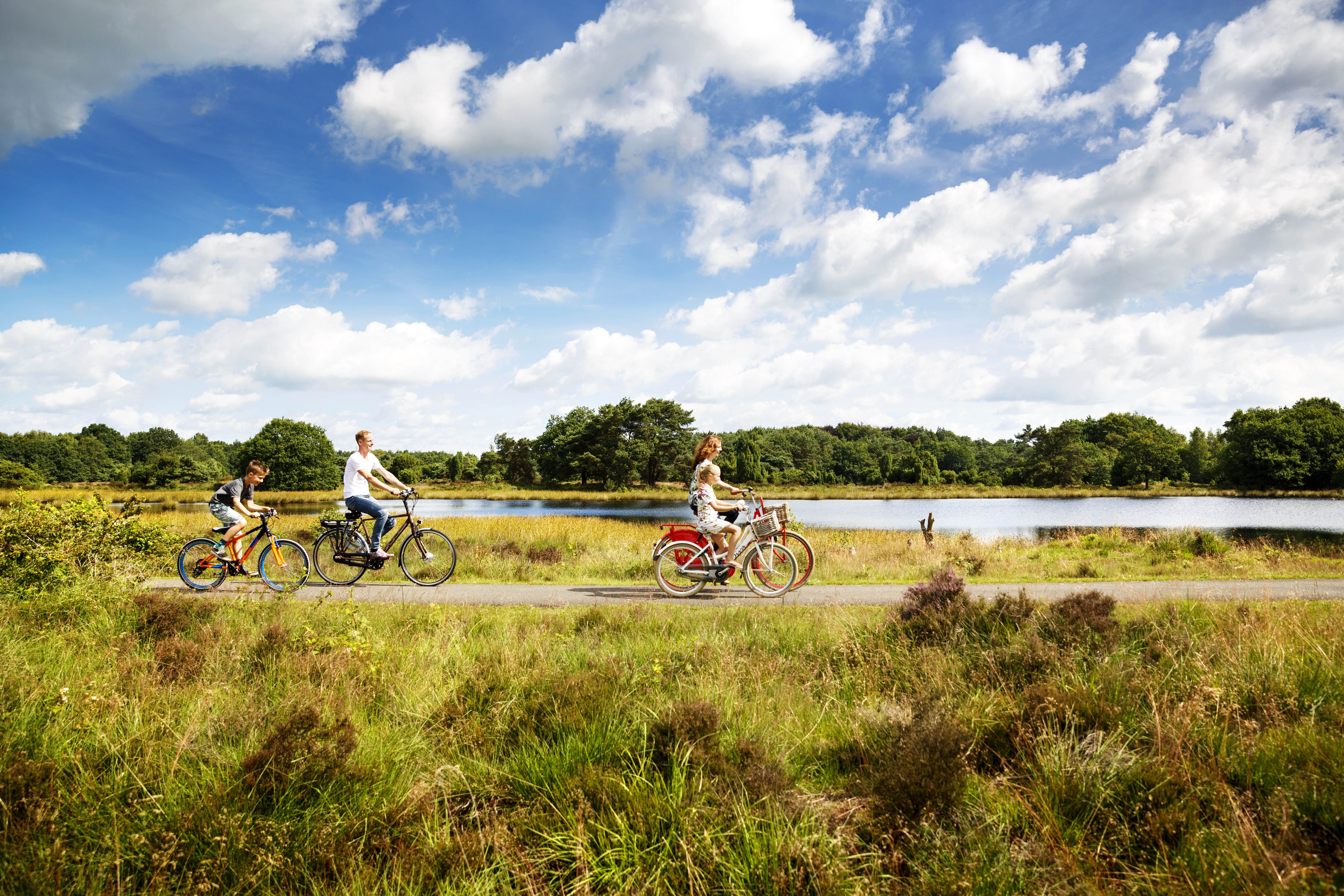 Hotel De Bonte Wever Omgeving