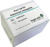 ParoReal® Kit Histomonas meleagridis img