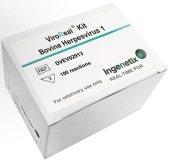 ViroReal® Kit Bovine Herpesvirus 1 img