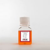 Fetal bovine serum, EU approved,  tetracycline free img