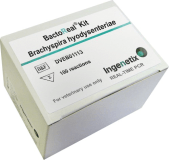 BactoReal® Kit Brachyspira hyodysenteriae img