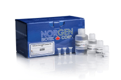 Cells and Tissue DNA Isolation Kit (Magnetic Bead System) img