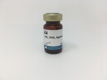 Agarose bound Vicia Villosa Lectin (VVL, VVA) img