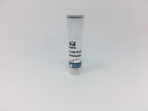 Biotin (Long Arm) Maleimide img