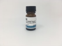 VECTABOND Reagent for Tissue Section Adhesion img