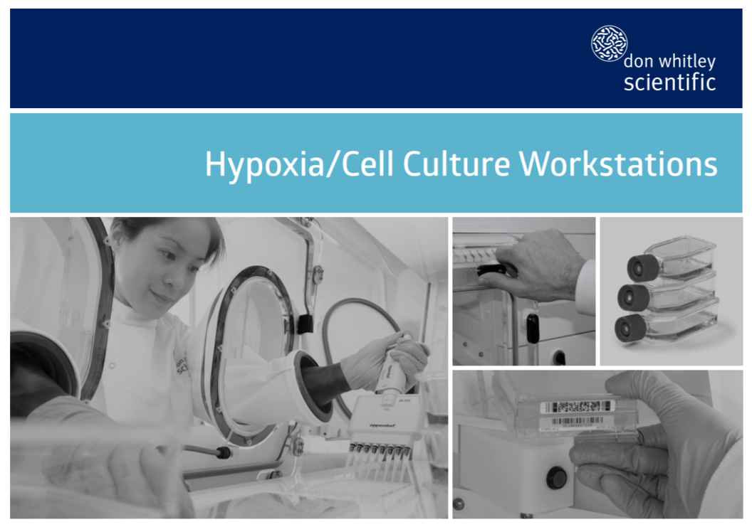 Hypoxia/Cell culture workstations