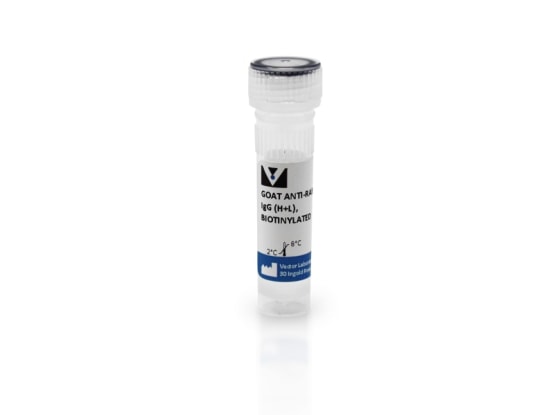 Biotinylated Goat Anti-Rabbit IgG Antibody - labconsult.be
