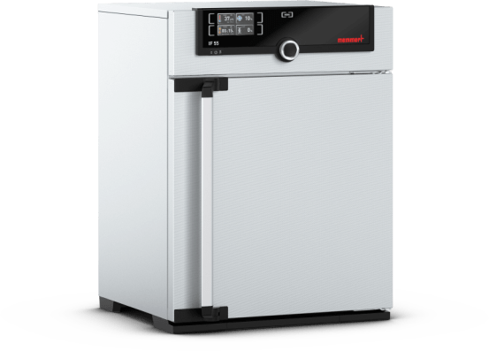 Memmert IF55 MEM.IF55 img