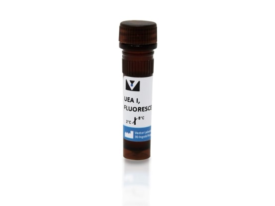 FL-1061-2 VEC.FL-1061-2 img