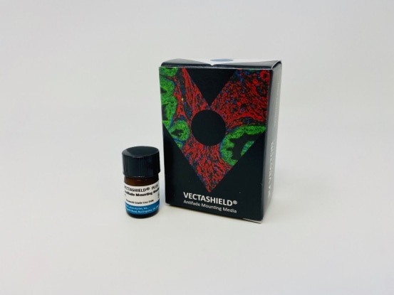 H-1900-2 VEC.H-1900-2 img