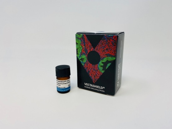 H-2000-2 VEC.H-2000-2 img