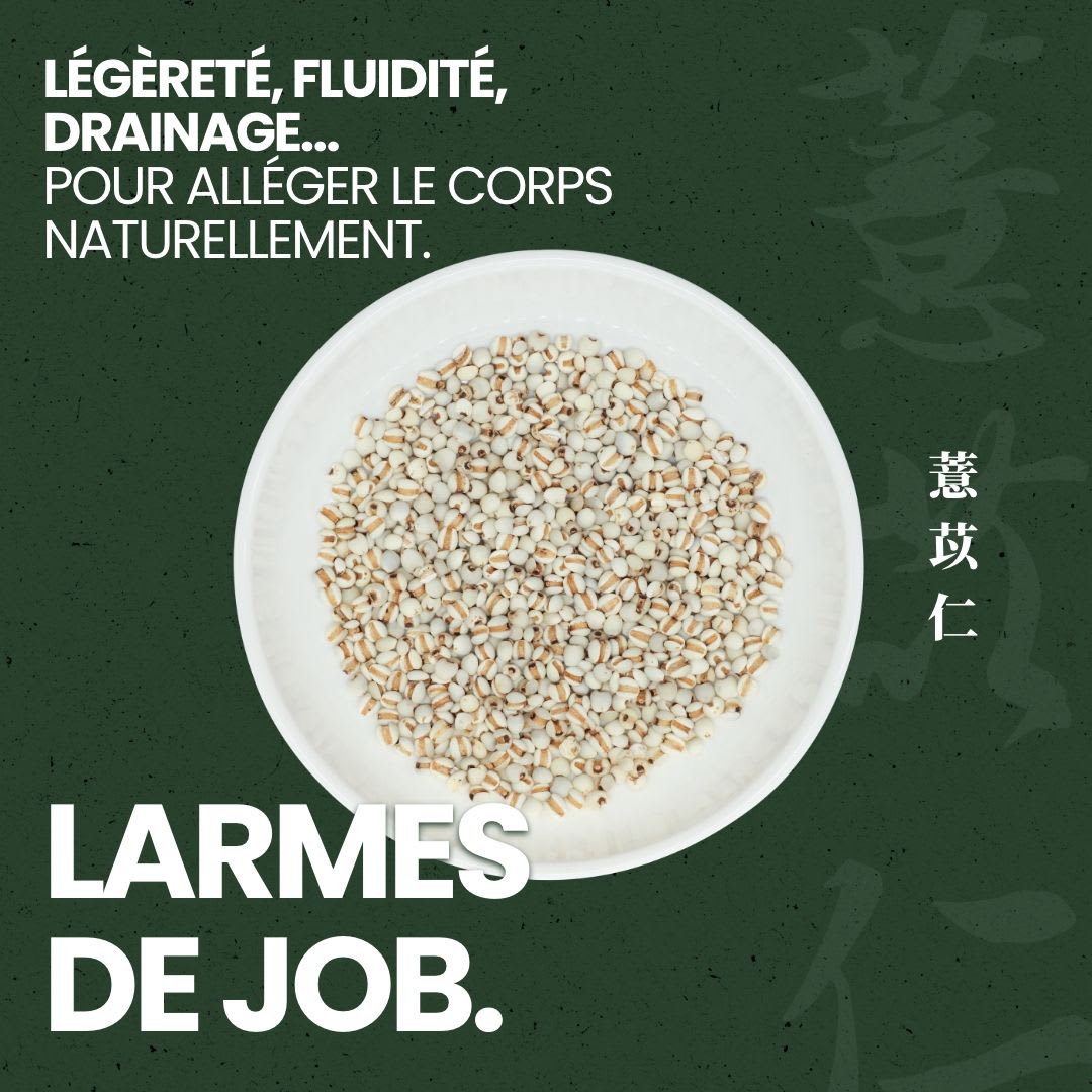 Larmes de Job