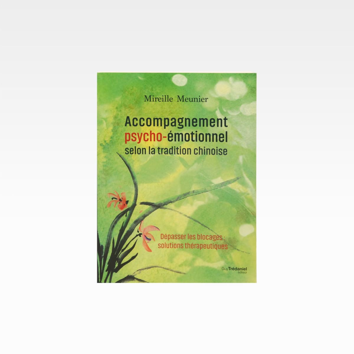accompagnement-psycho-émotionnel.jpg