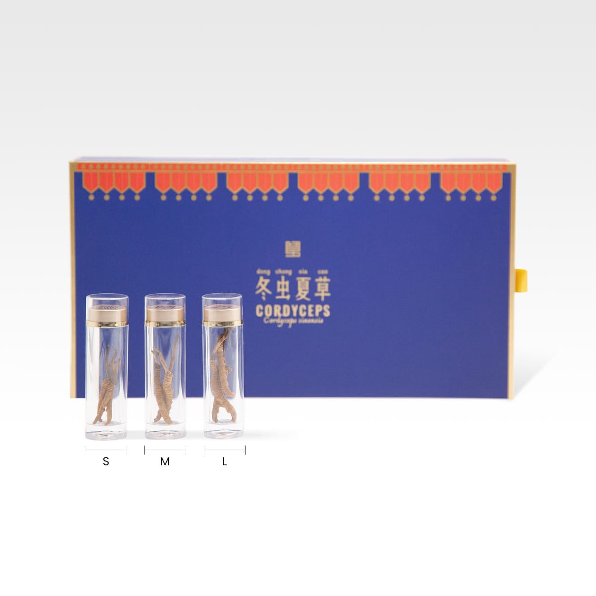 冬虫夏草礼盒sml.jpg