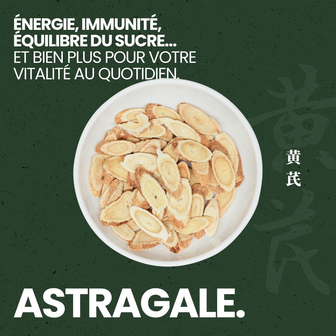 Racine d'Astragale