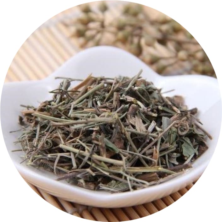 Tou gu cao