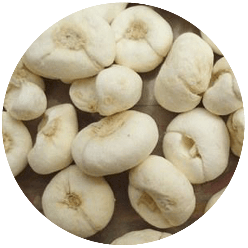 zhebeimu.png