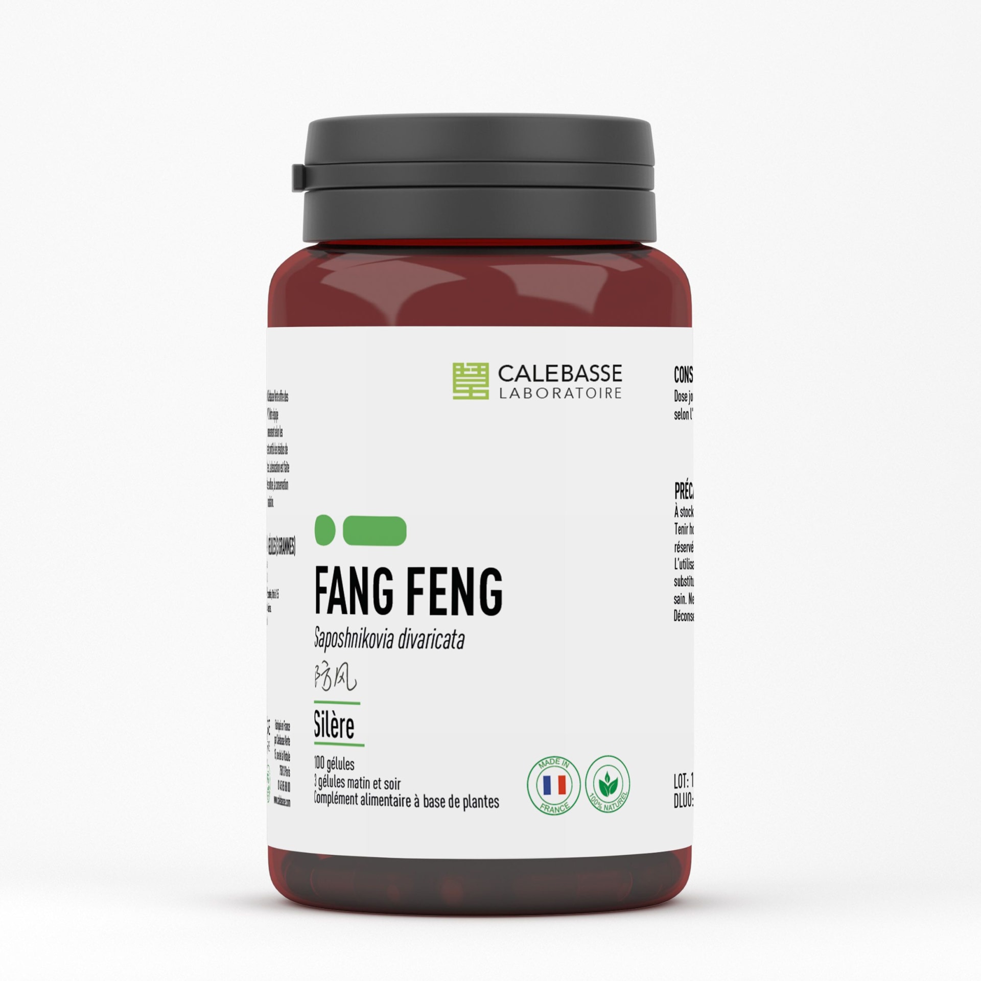 A_fangfengGL.jpg