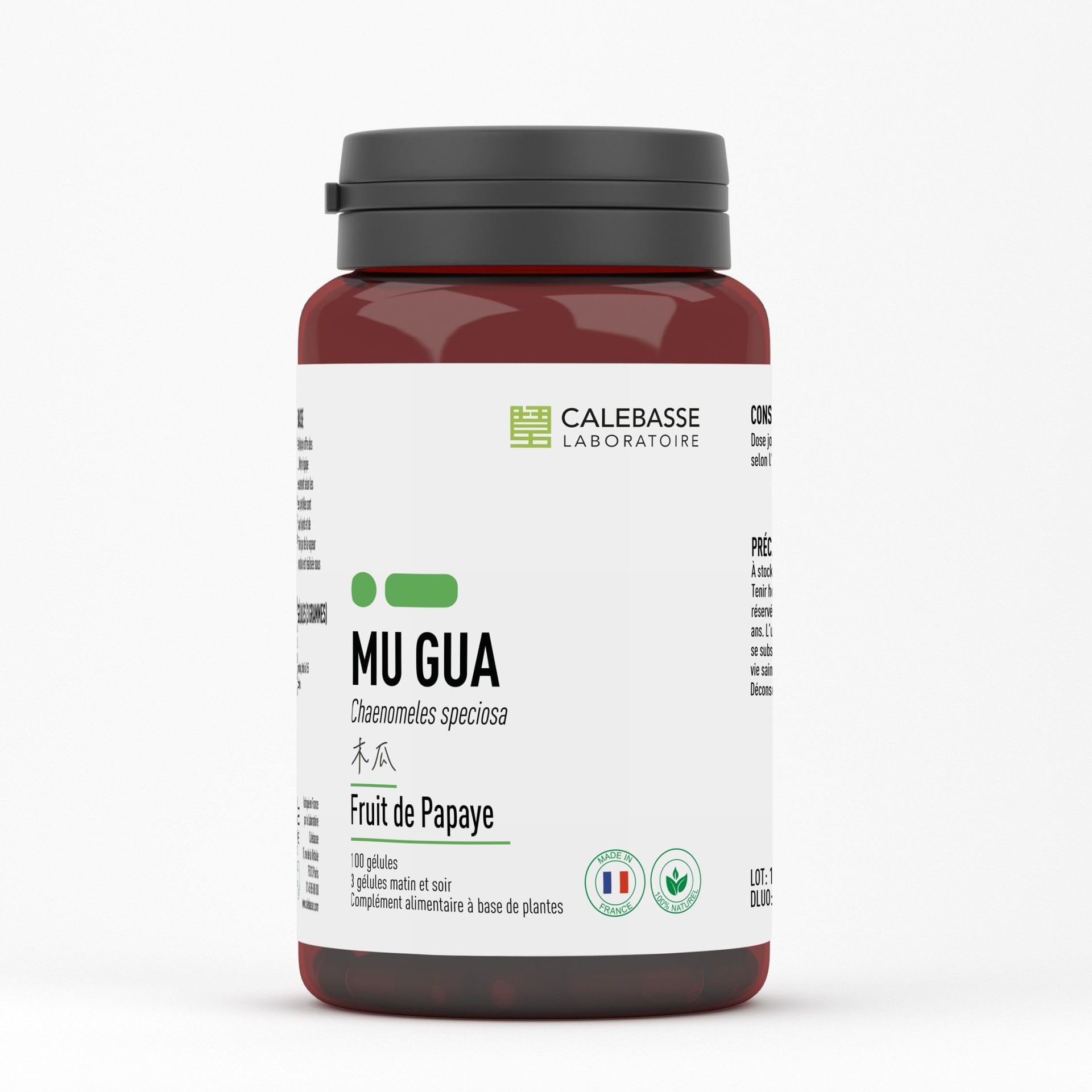 A_mugua.jpg