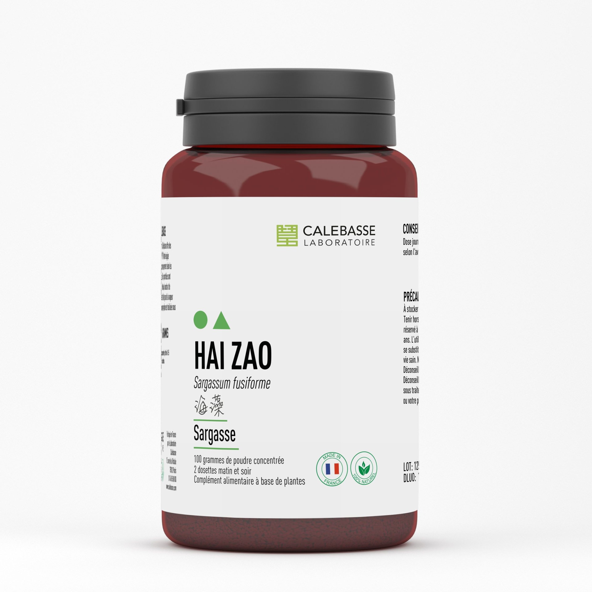 A_haizaoCP.jpg