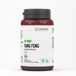 A_fangfengGL.jpg