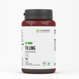A_fulingGL.jpg