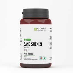A_sangshenziGL.jpg