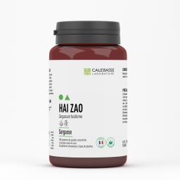 A_haizaoCP.jpg