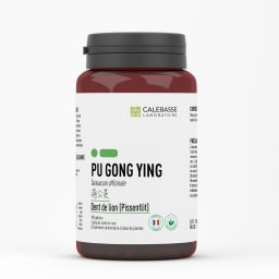 A_pugongyingGL.jpg